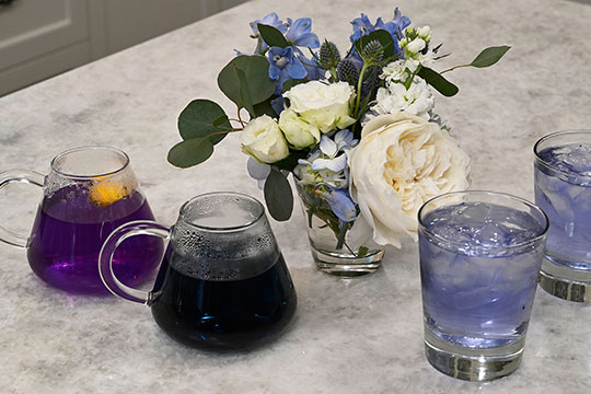 JSLB-506-Butterfly-Pea-Flower-Beverages.pdf