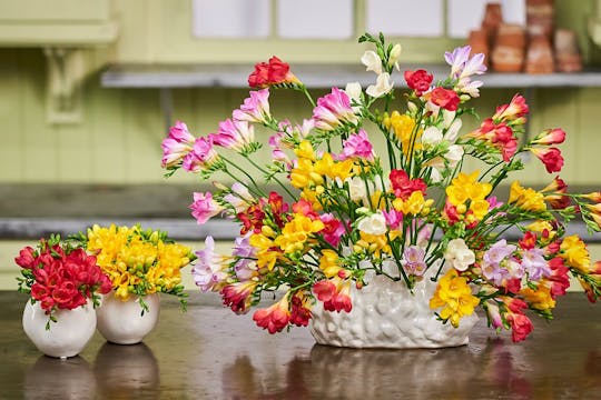 Freesia Arrangements from Holland Ame...