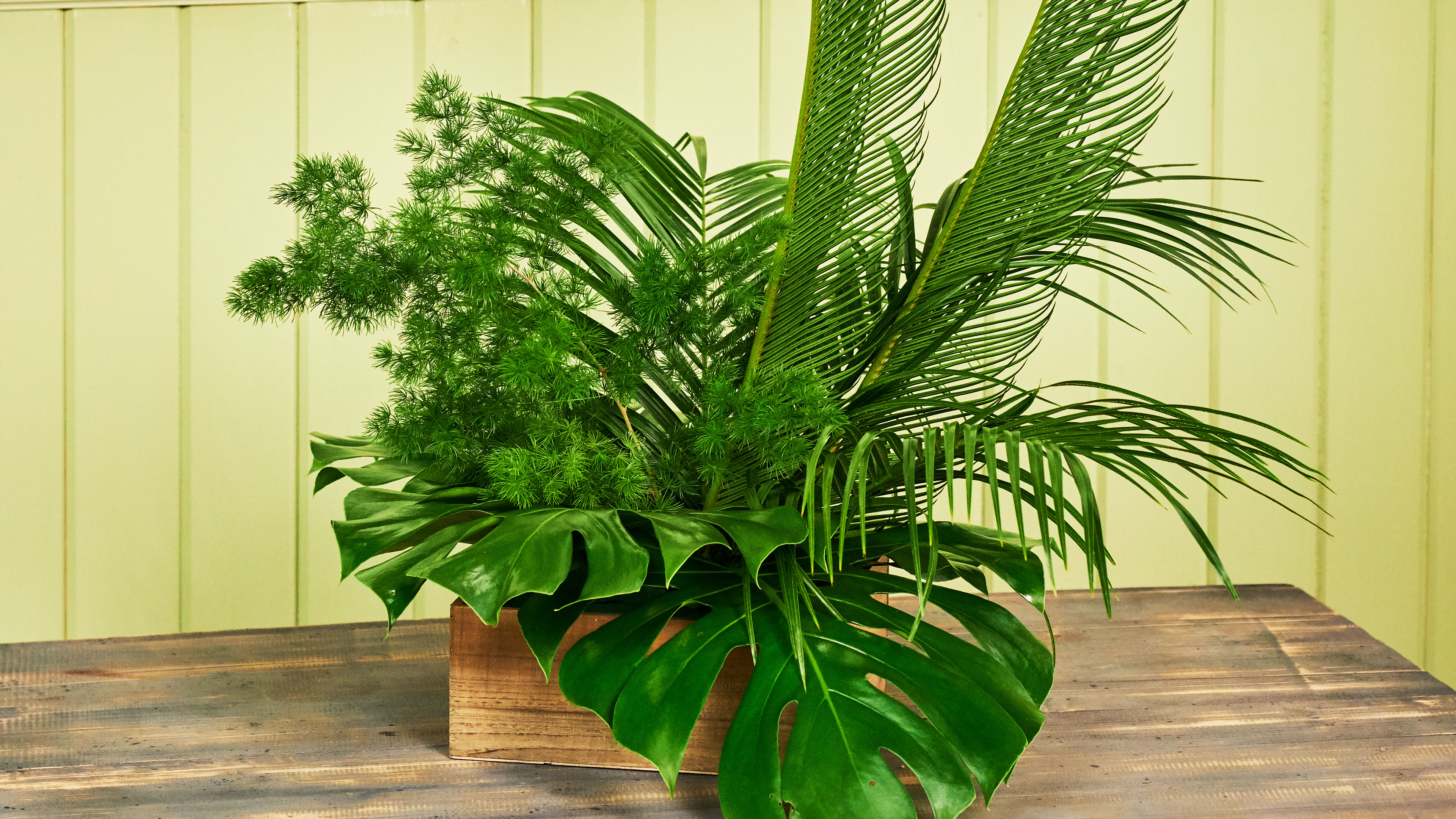 Pretty- Monstera Magic- All Foliage Bouquet