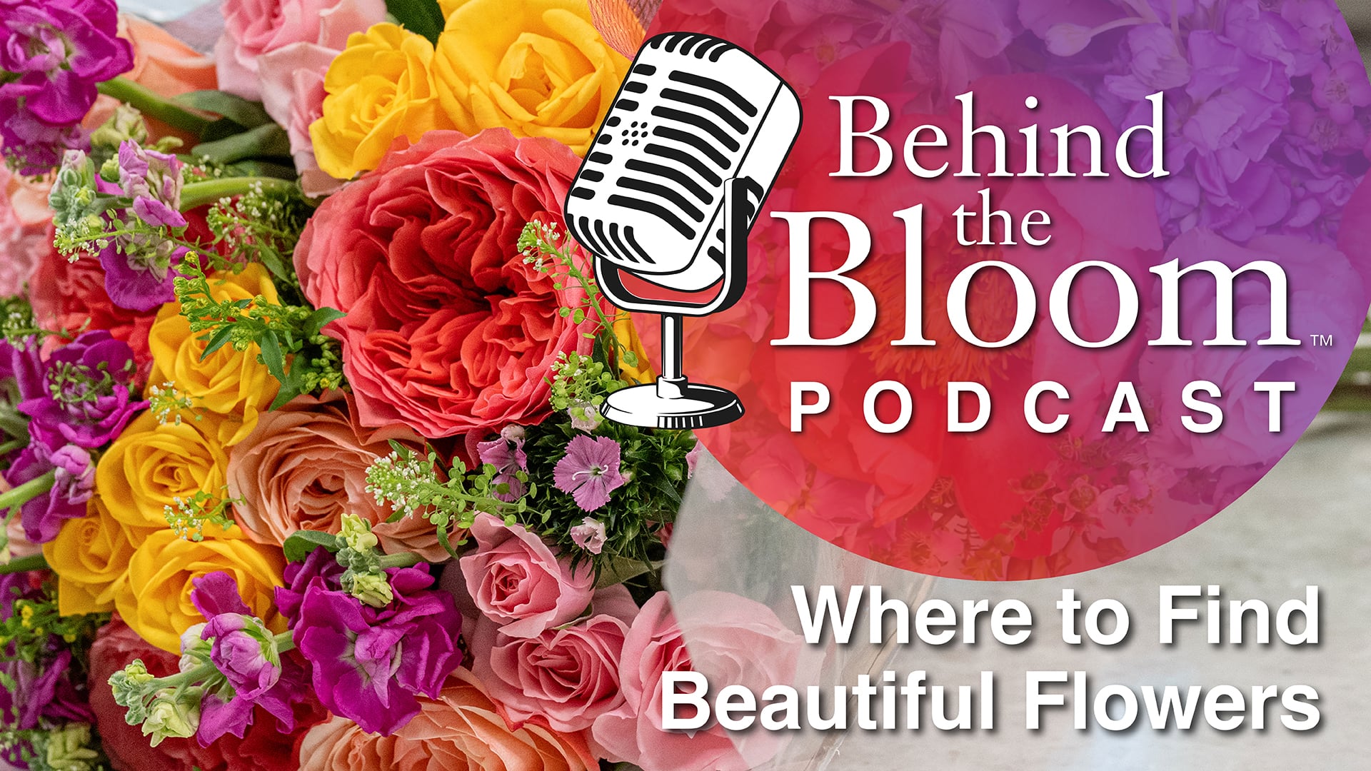 Behind the Bloom Episode 1- Where to find Beautiful Flowers
