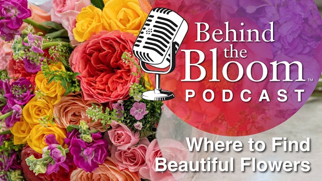 Behind the Bloom Episode 1- Where to ...