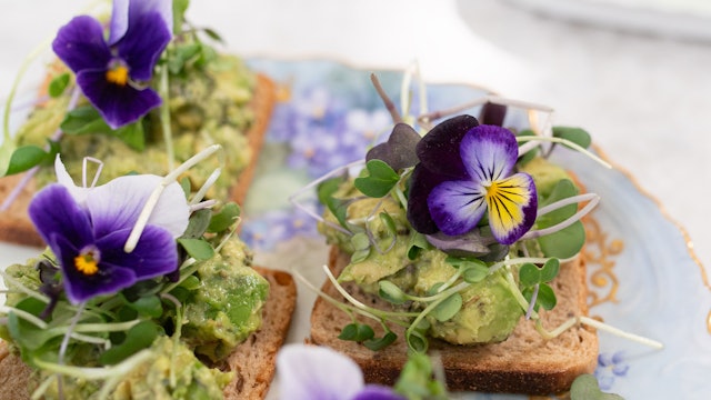 Edible Flowers and Recipes