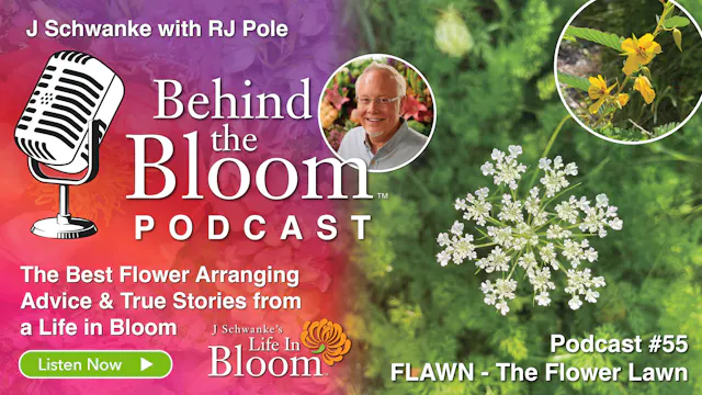 Episode 55 - Creating a Flower Lawn- ...