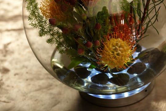 Protea Bubble Bowl!