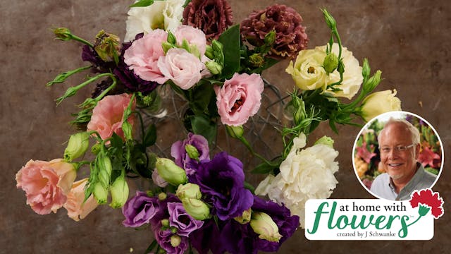 Lisianthus Collection!