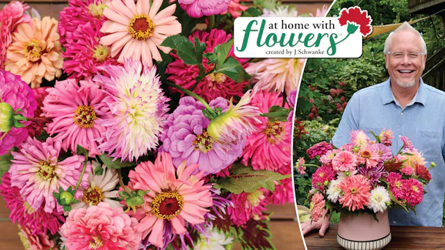 Zinnia and Dahlia Arrangement in the ...