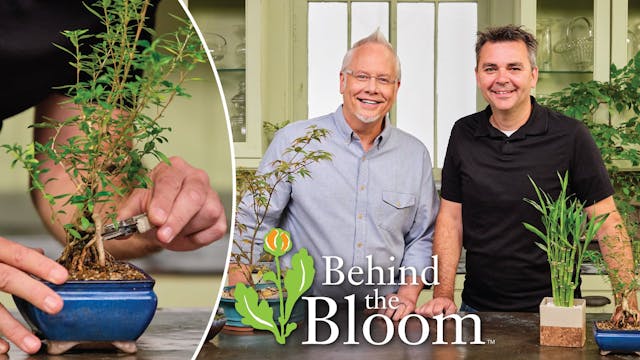 Behind the Bloom: with Dusty Brown an...