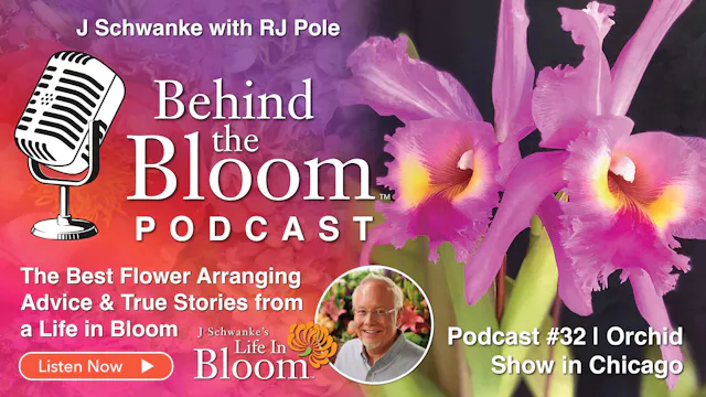 Episode 32 - Orchid Show in Chicago