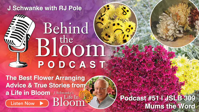 Episode 51- Companion Podcast to Epis...