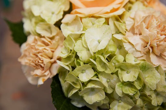 Hydrangea Arranging Tips!