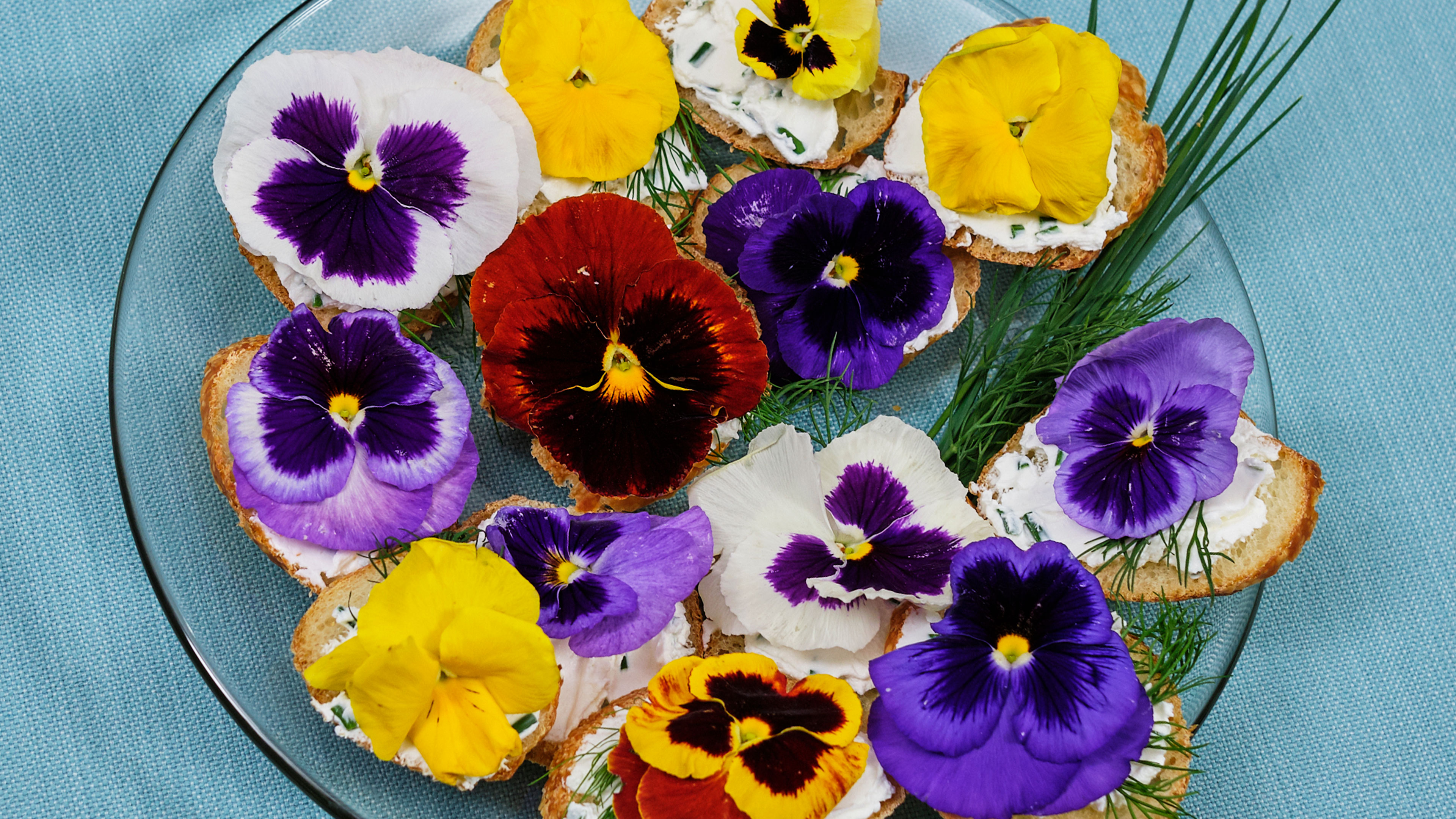 PDF Recipes in Bloom | for Subscribers