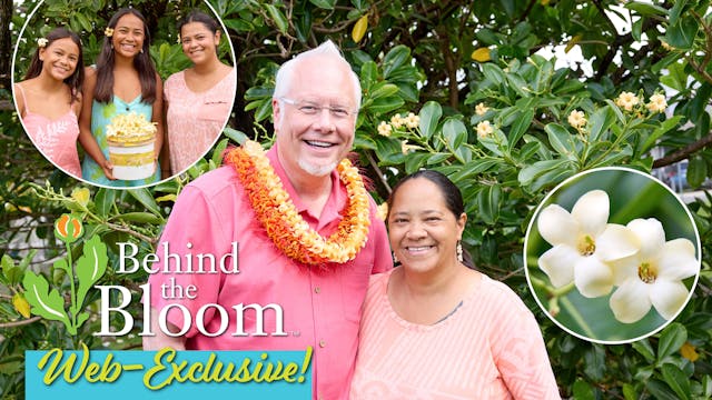Behind the Bloom – Making Pua Keniken...