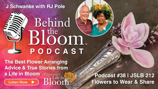 Episode 38 - Companion Podcast to Epi...