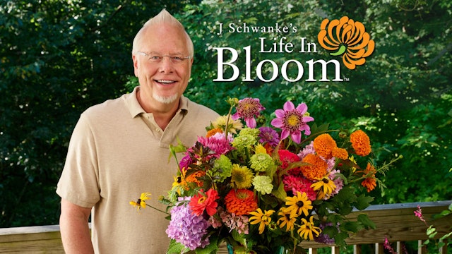 Life in Bloom Season 5