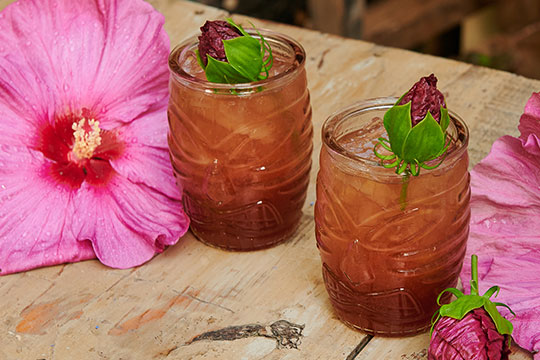 JSLB-413-Hibiscus-Bourbon-Cocktail.pdf