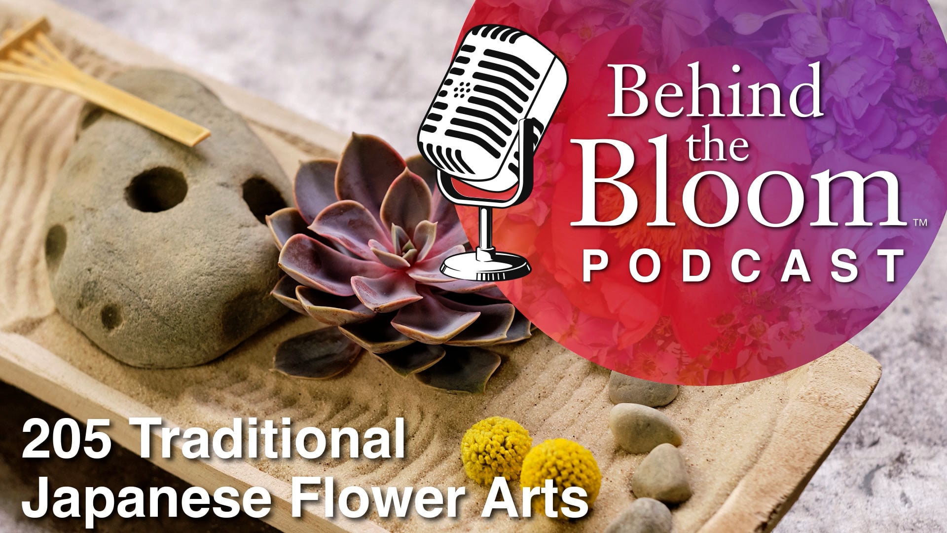 Podcast 30 - Companion Episode #205 - Traditional Japanese Flower Arts