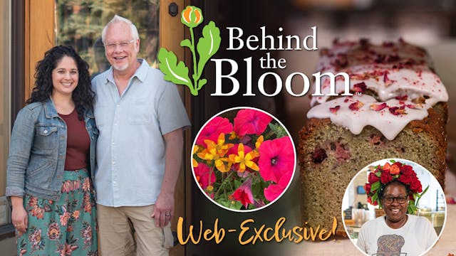 Behind the Bloom- Ilana Chamelly and ...