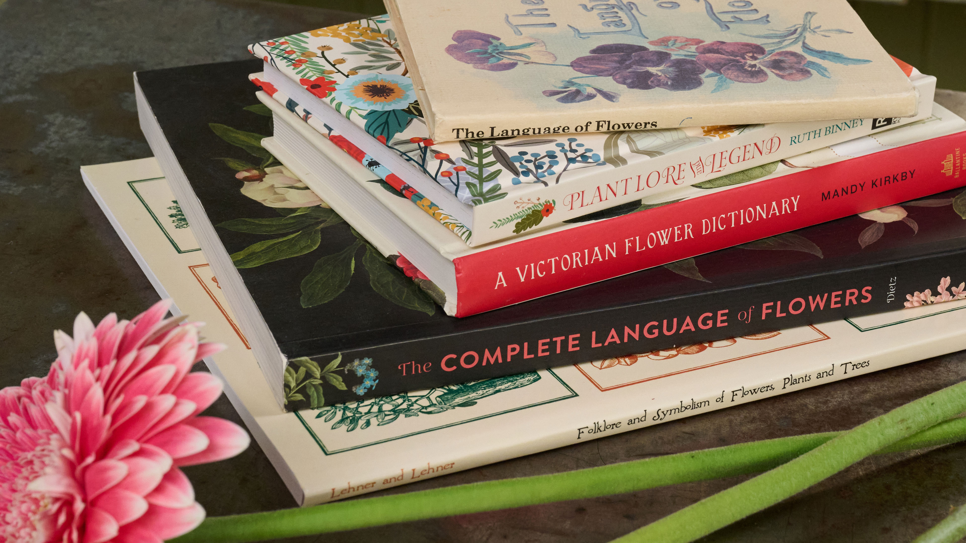 Resources for Professionals