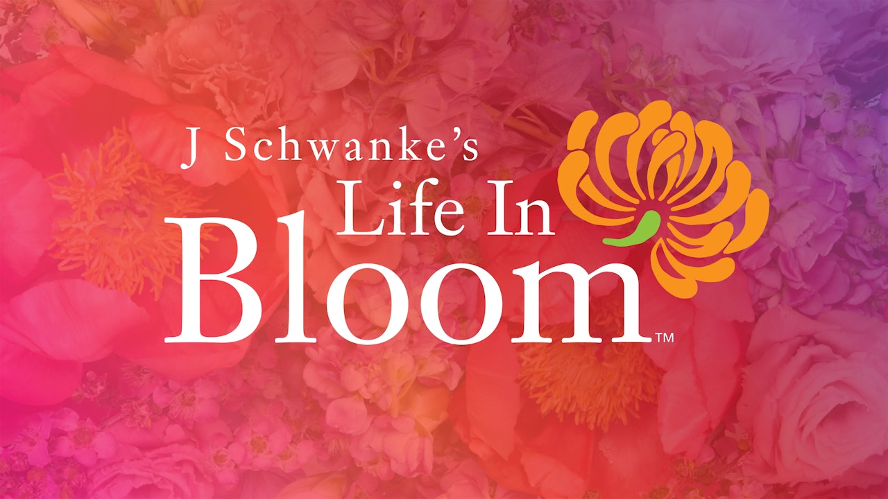 J Schwanke's Life in Bloom by Season