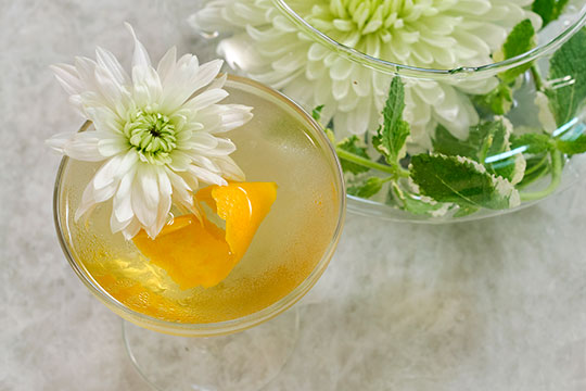 JSLB-309-Chrysanthemum-Cocktail.pdf