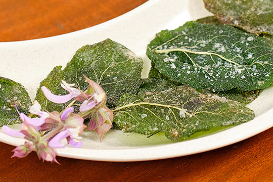 JSLB-203-Sage-Crisps.pdf