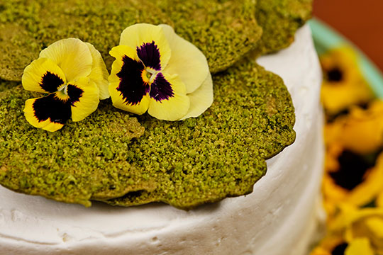 JSLB-204-Moss-Cookie-Cake.pdf