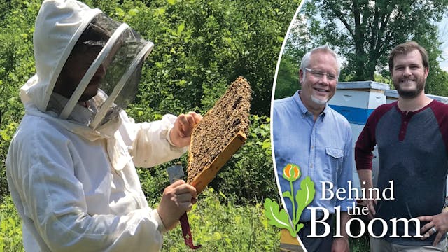 Behind the Bloom- Aberdeen Apiary- an...