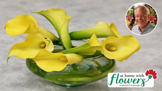 Calla Lily Cocktail Arrangement!