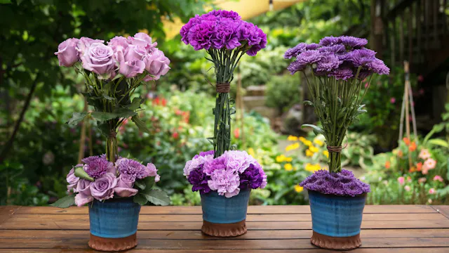 Episode #801 - Topiary in Bloom