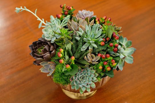 5 Minute Succulent Centerpiece