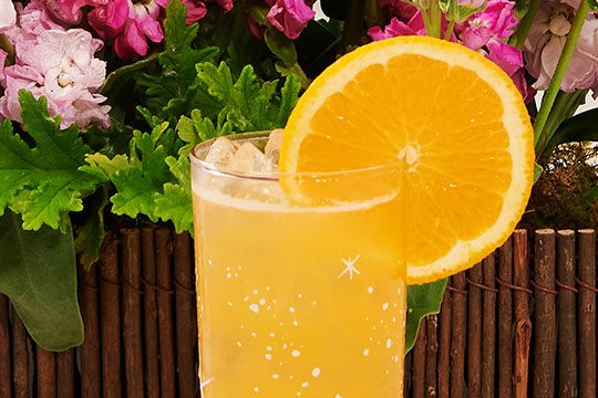 JSLB-403-Clove-Screwdriver.pdf