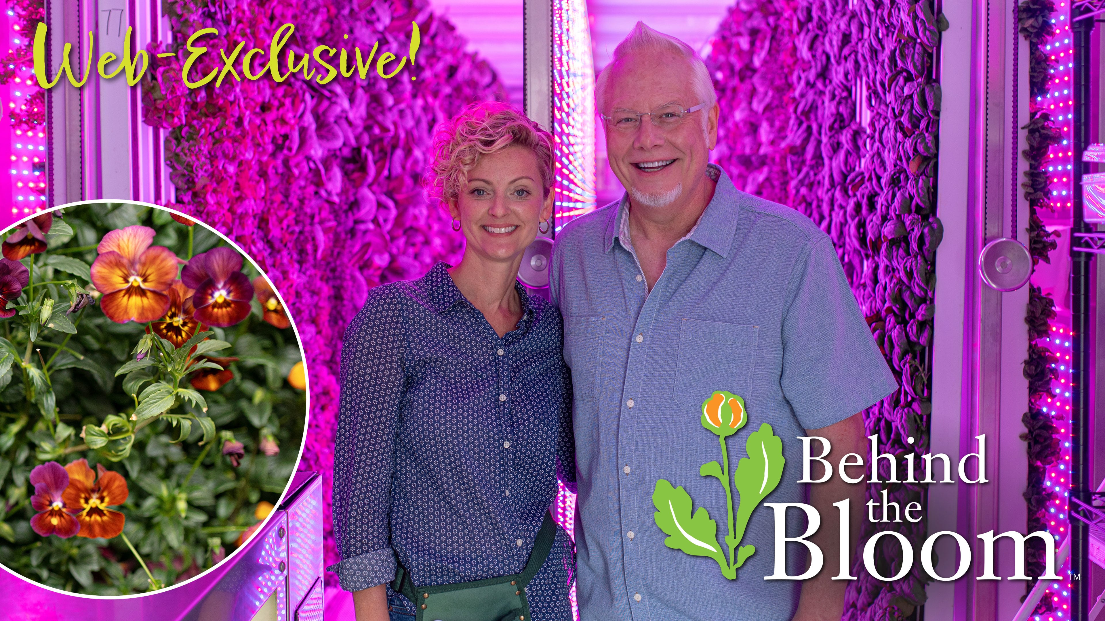 Behind the Bloom -with Jill Frey at Superbloom Farms!