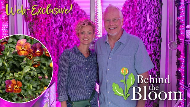 Behind the Bloom -with Jill Frey at S...