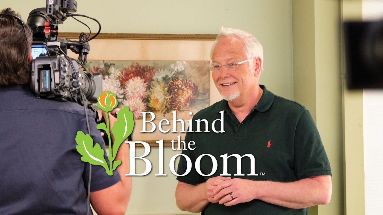 Behind the Bloom