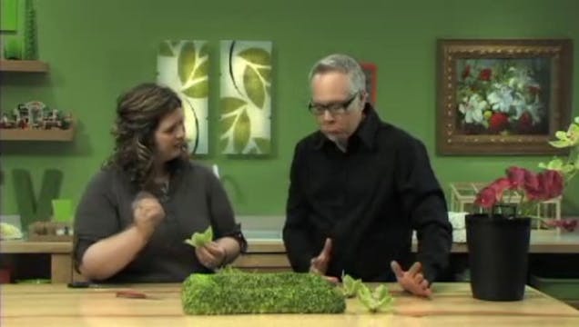 Mandy Majerik AIFD, Winner of the JTV...