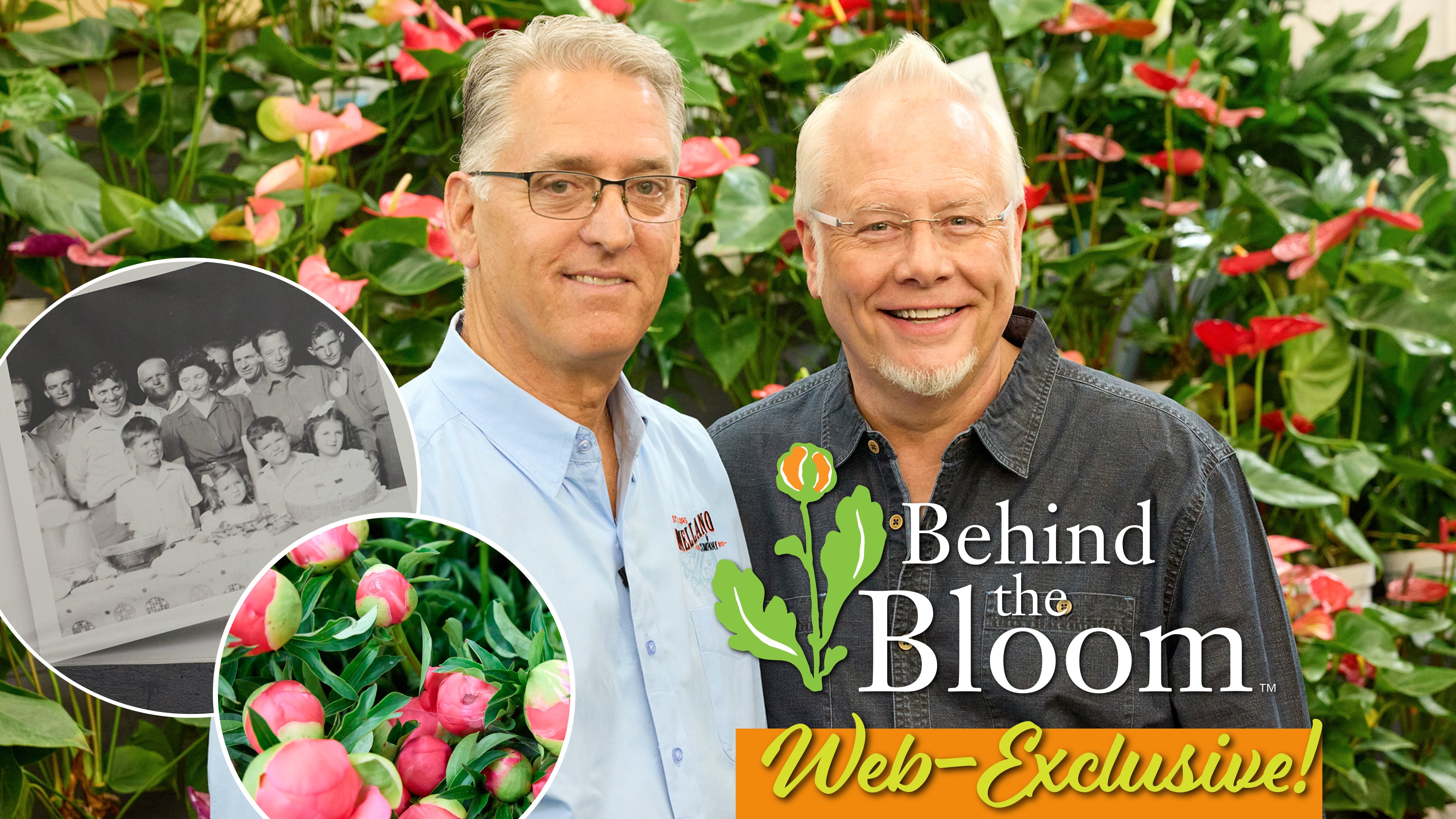 Behind the Bloom – with Bob Mellano- and Mellano & Company’s 100th Anniversary!