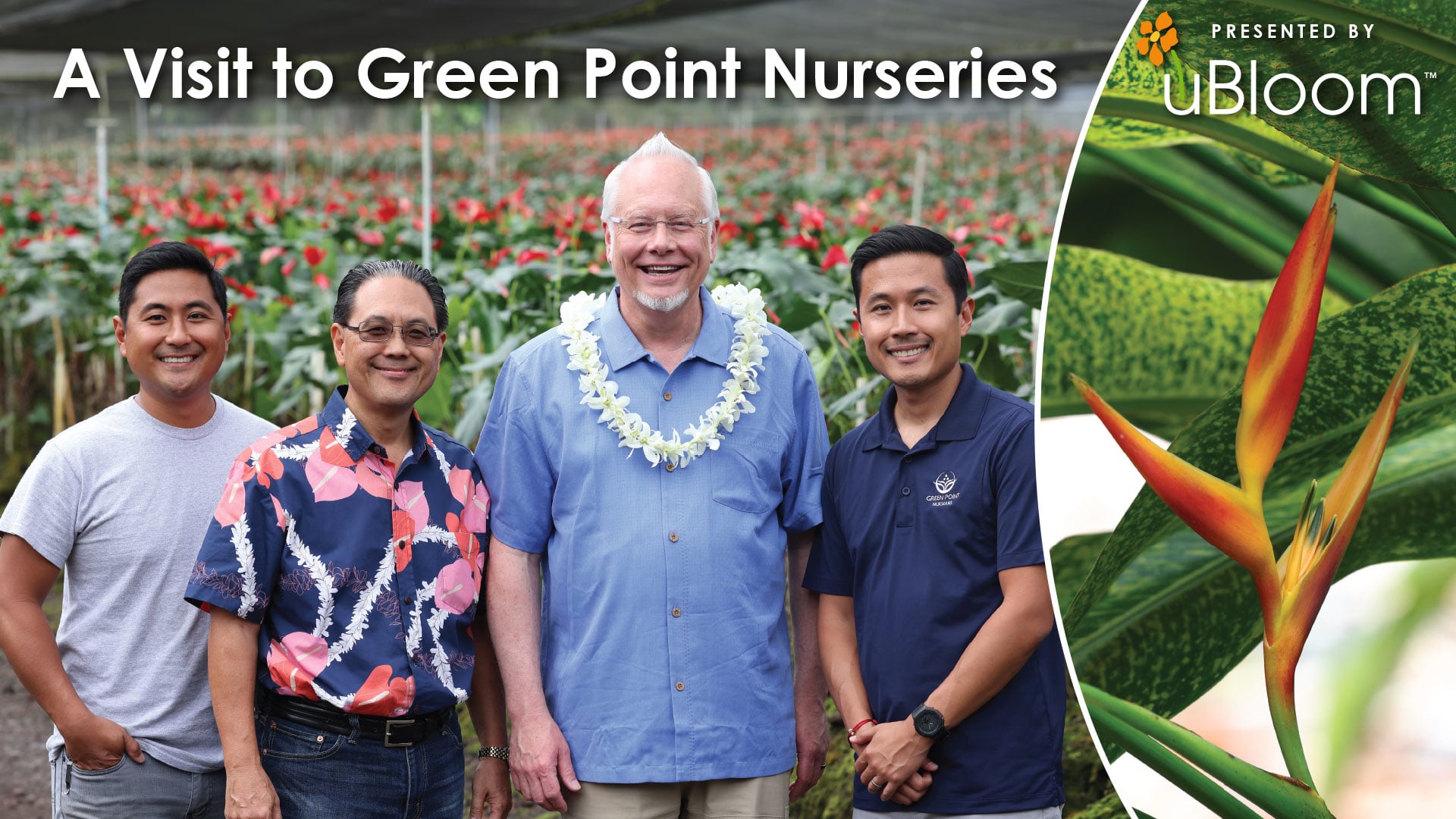 A Visit to Green Point Nurseries in Hawaii!