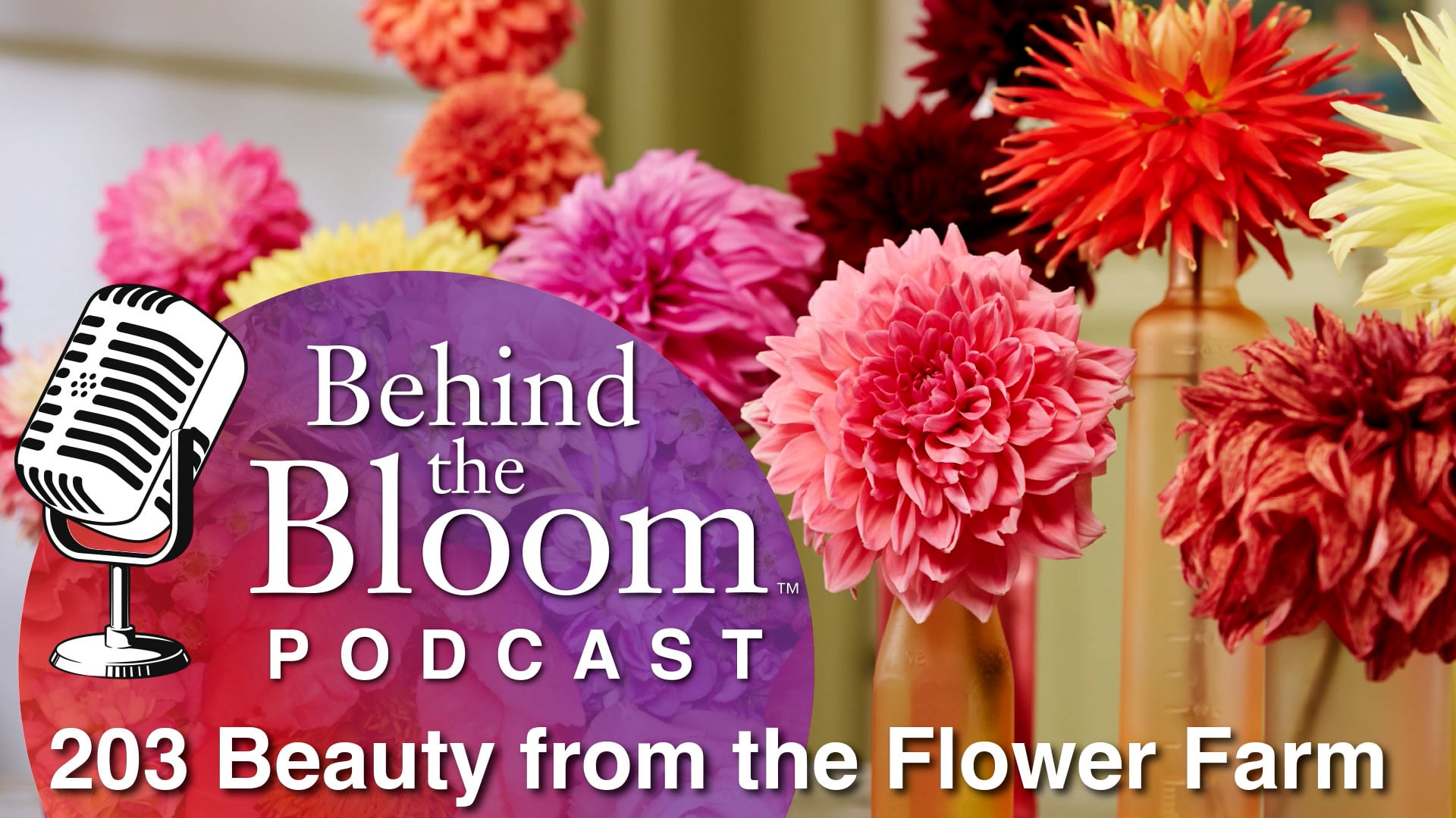 Episode 27 - Companion Podcast to Episode #203 Beauty from the Flower Farm