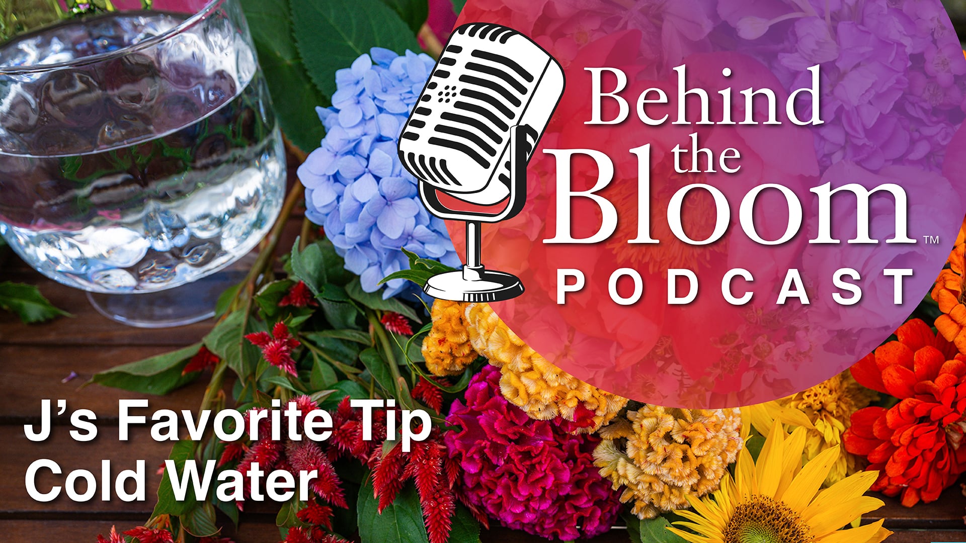 Episode 3- J's Favorite Tip - Cold Water!