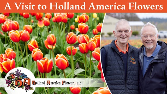 A Visit To Holland America Flowers!