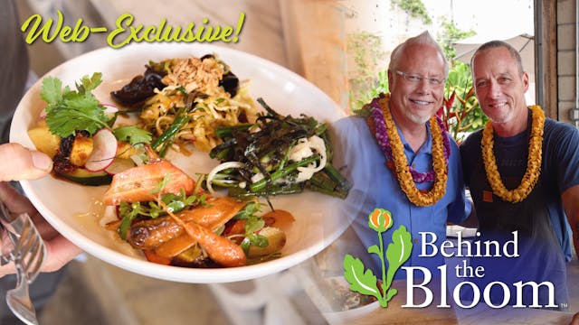Behind the Bloom – Ed Kenney- Mud Hen...