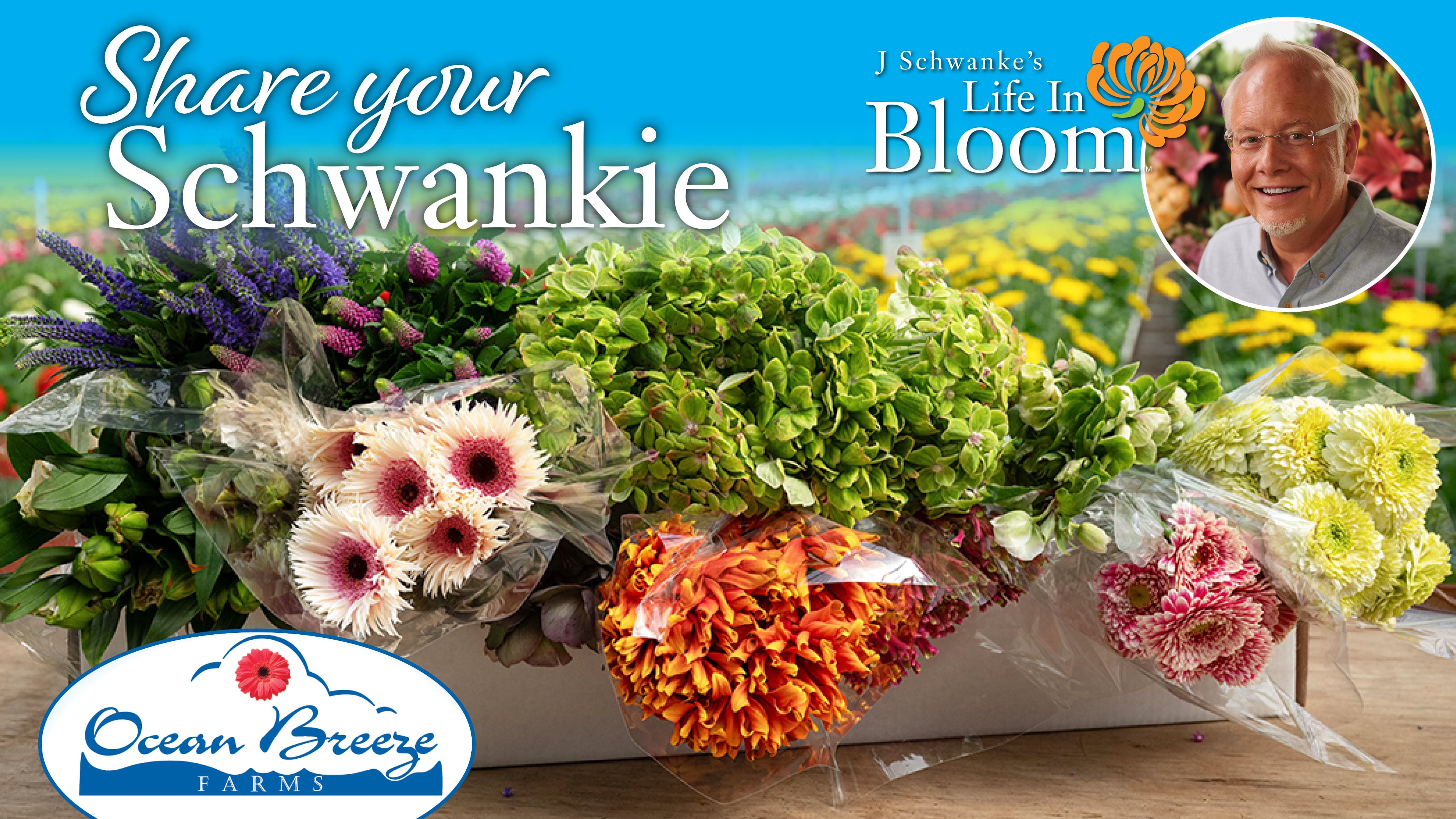 Share Your Schwankies Sweepstakes Flowers!