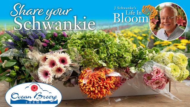 Share Your Schwankies Sweepstakes Flo...