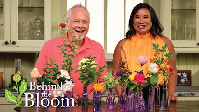 Behind the Bloom- Flower Fragrance wi...