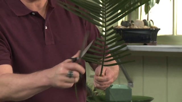 How to cut Palms leaves into shapes! ...