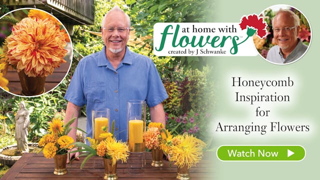 Honeycomb Inspired Garden Arrangements!