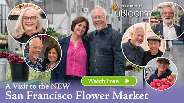 A Visit to the NEW San Francisco Flow...