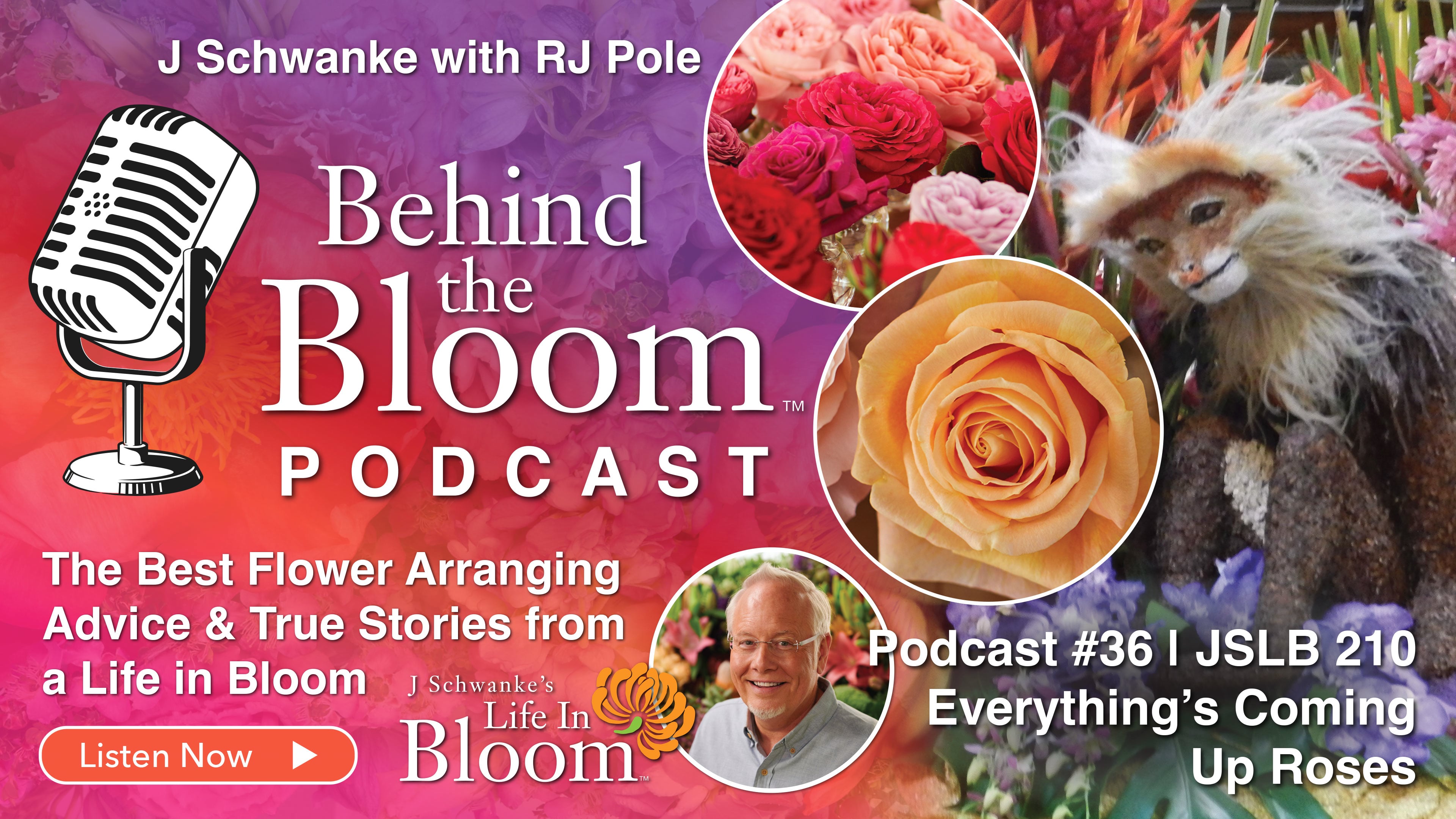 Episode 36 - Companion to Episode #210 Everything's Coming up Roses-