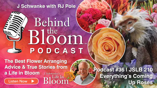 Episode 36 - Companion to Episode #21...