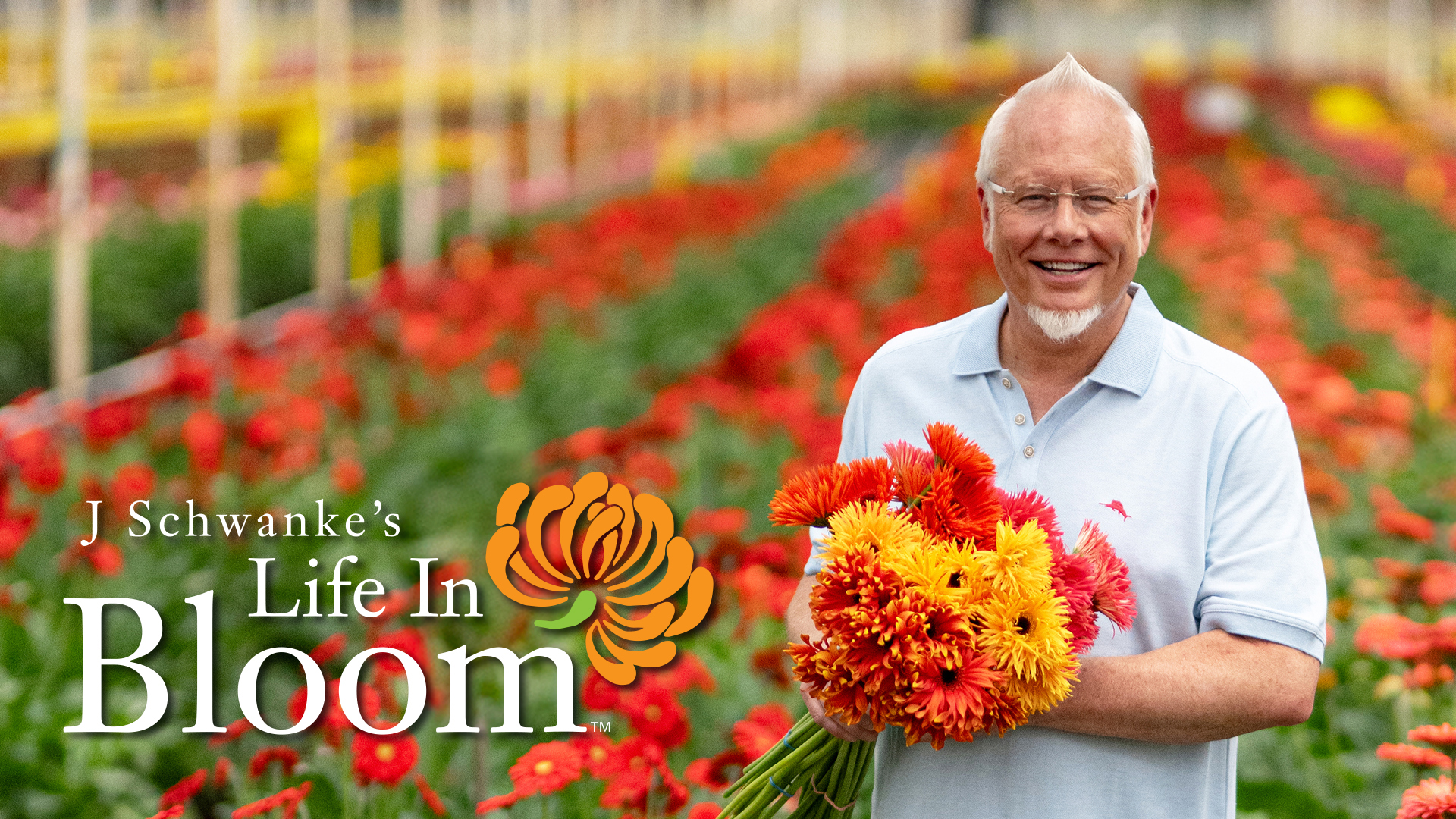 Life in Bloom Season 8